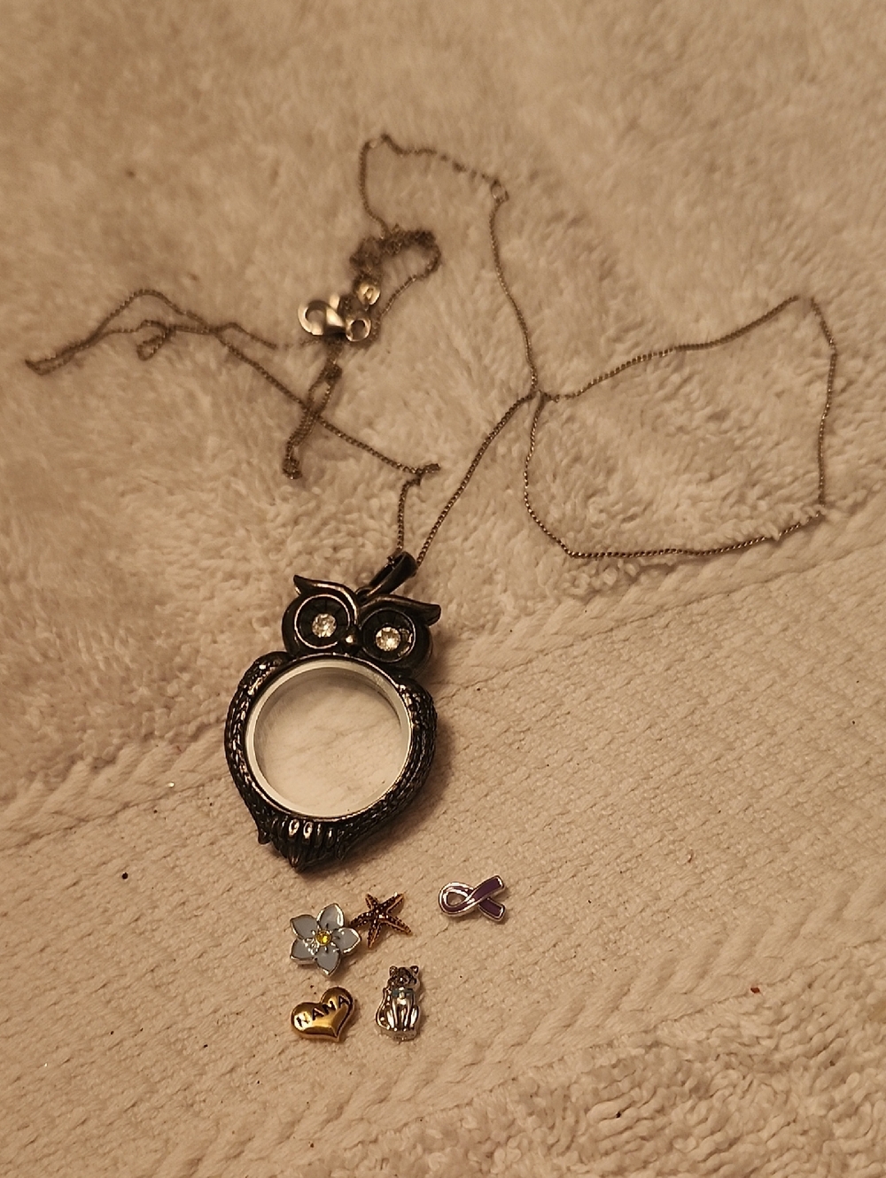 Origami Owl Owl Locket Necklace in Silver and Black